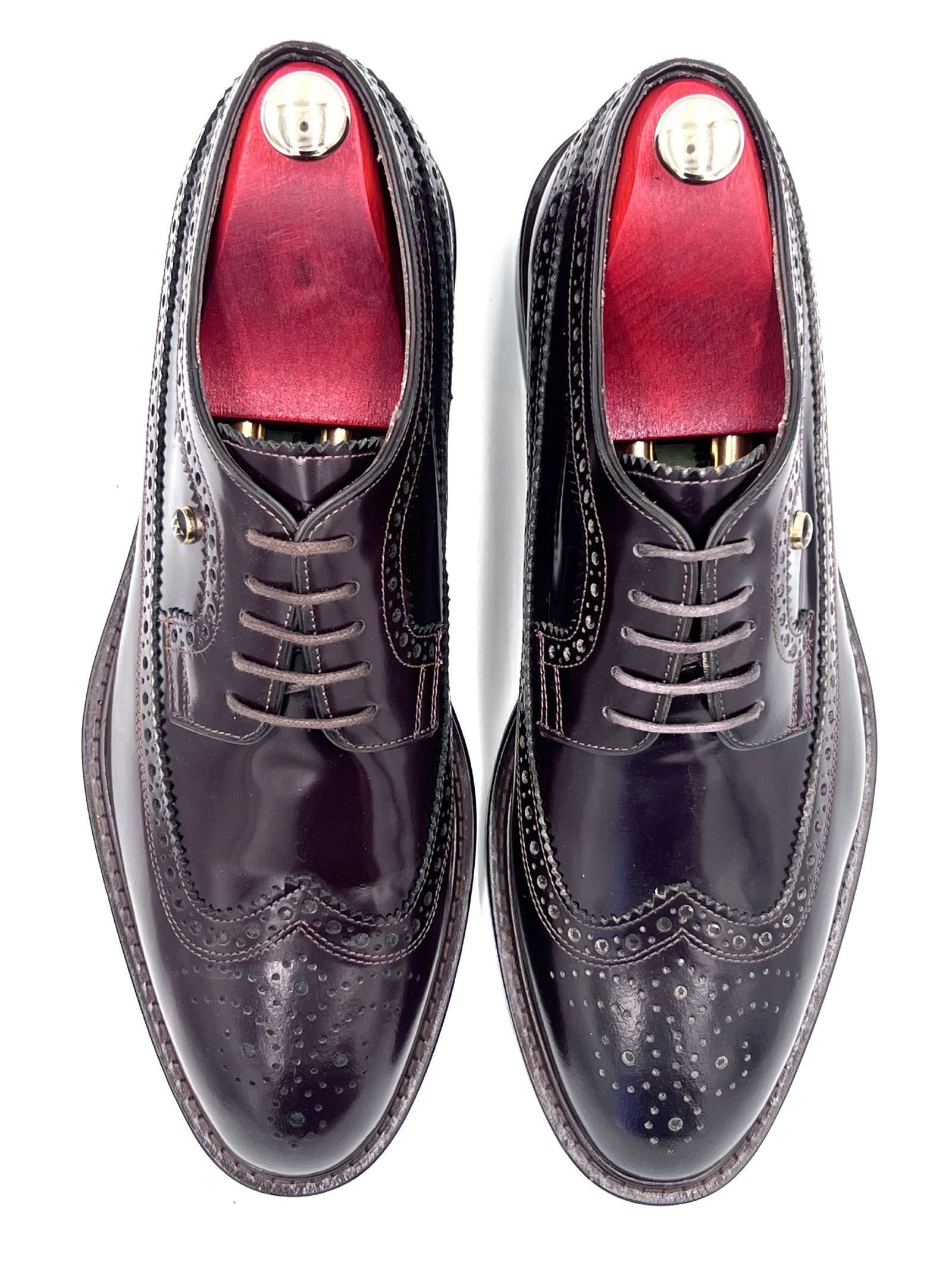 Royal Long Wing Brogue Shoes in High Shine Brown | Oscar William