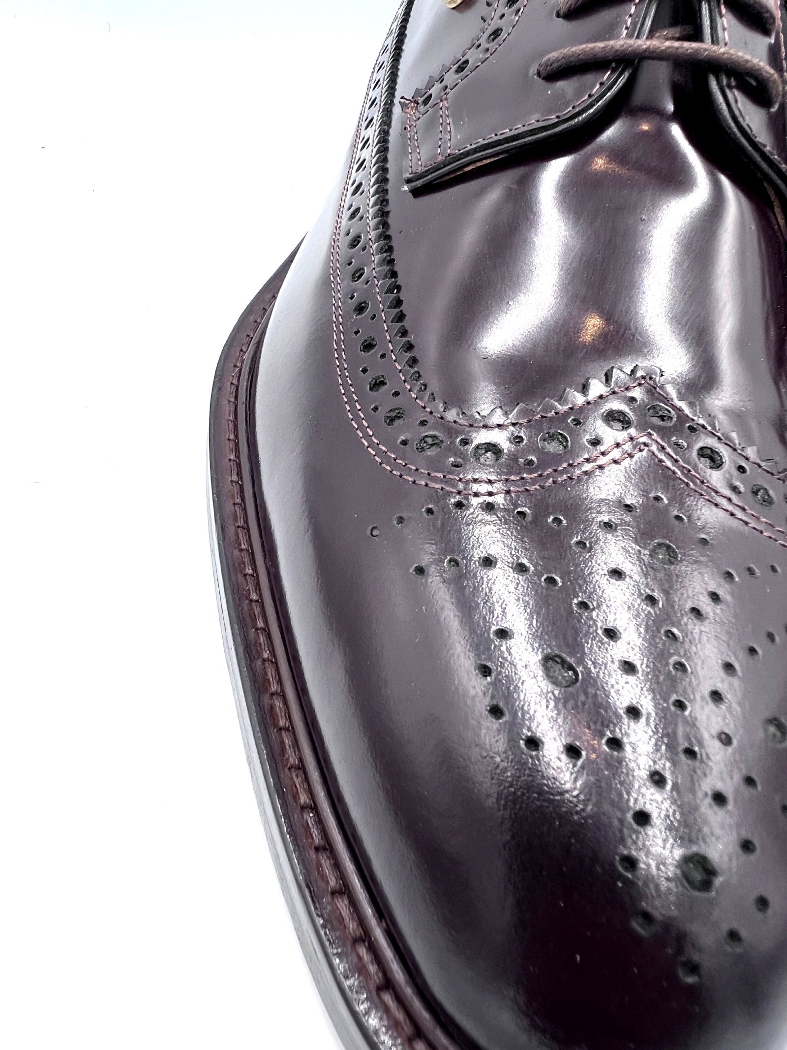 Royal Long Wing Brogue Shoes in High Shine Brown | Oscar William