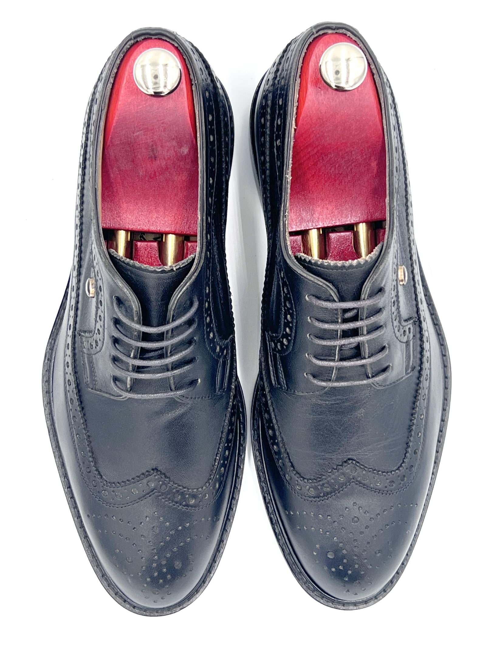 Royal Long Wing Brogue Shoes in Box Calf Leather | Oscar William